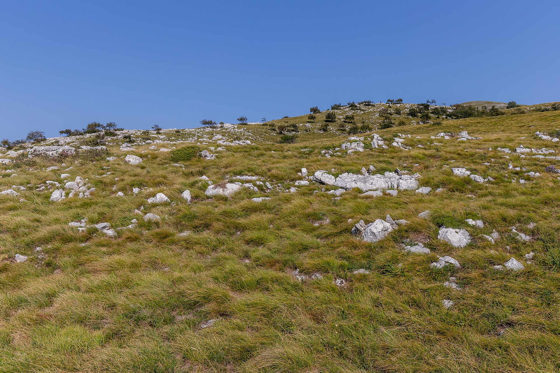 Gröna, skogsklädda berg i Risnjak nationalpark i Kroatien.