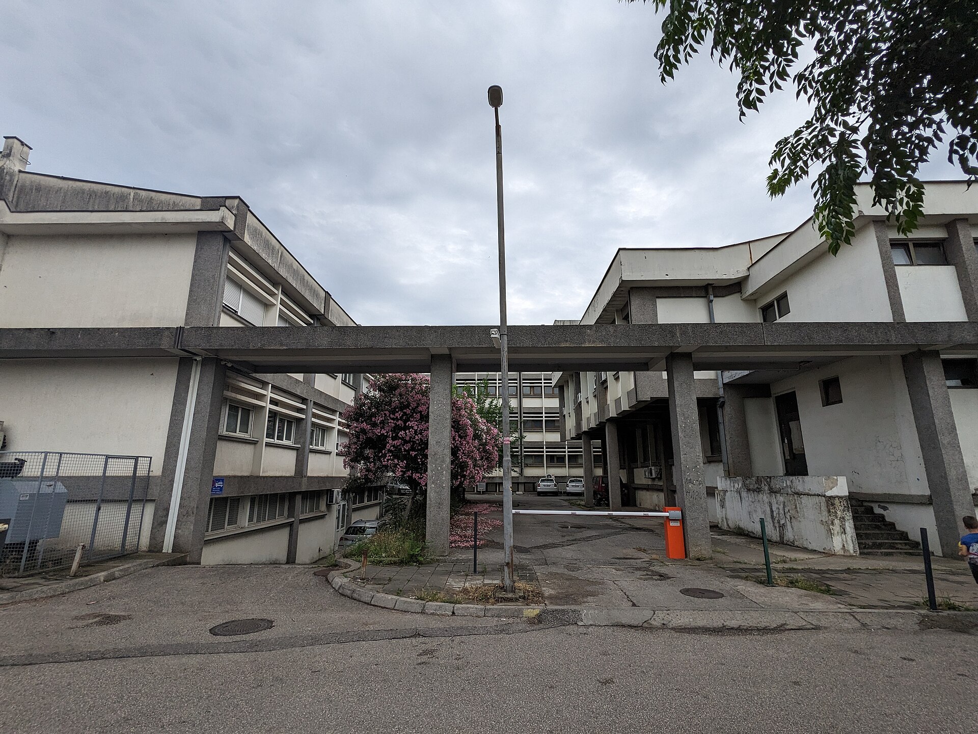 Biotekniska fakultetens brutalistiska byggnad vid Montenegros universitet i Podgorica under en mulen himmel.