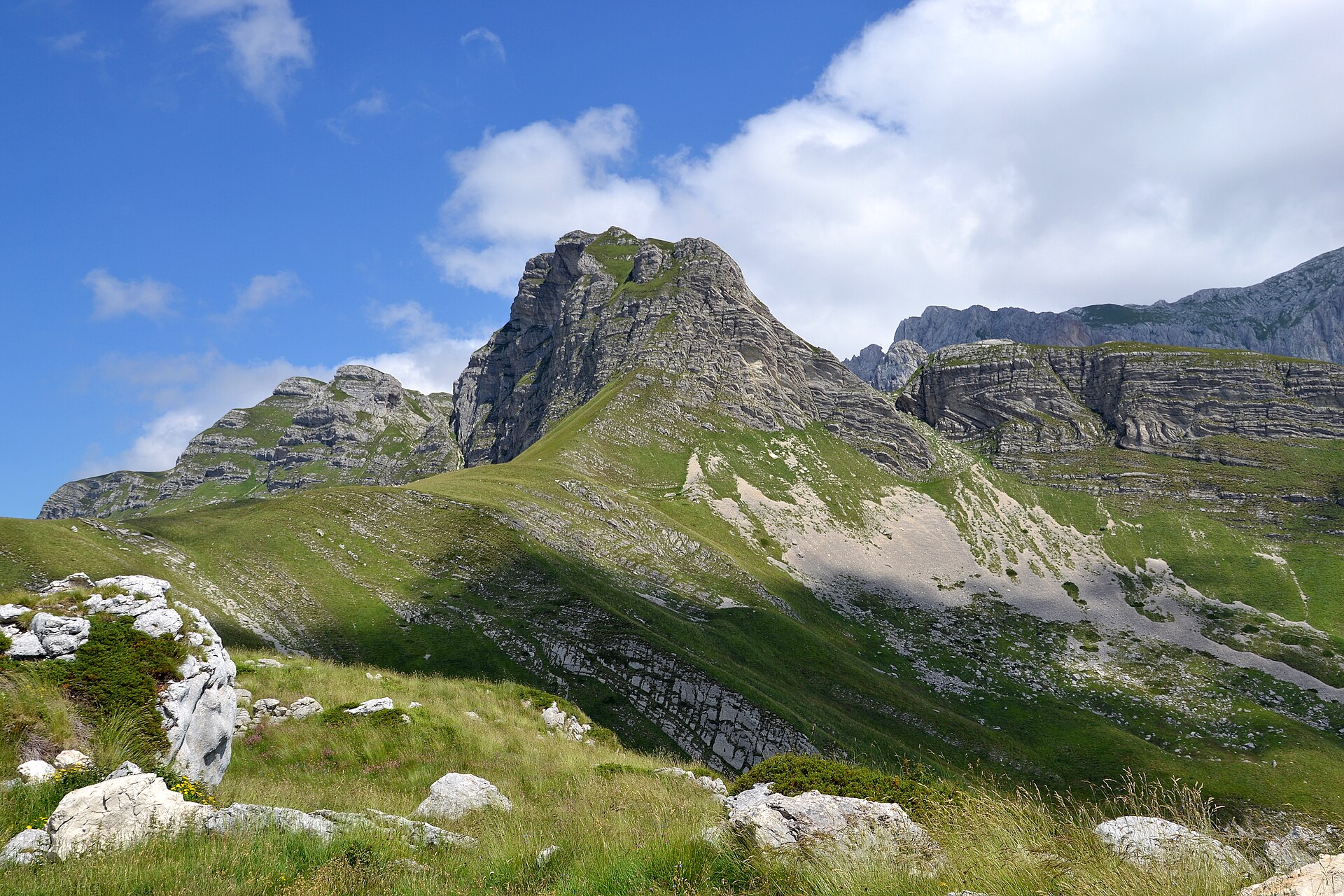 Får betar på en grönskande bergssluttning med Durmitors dramatiska, veckade bergstoppar i bakgrunden.