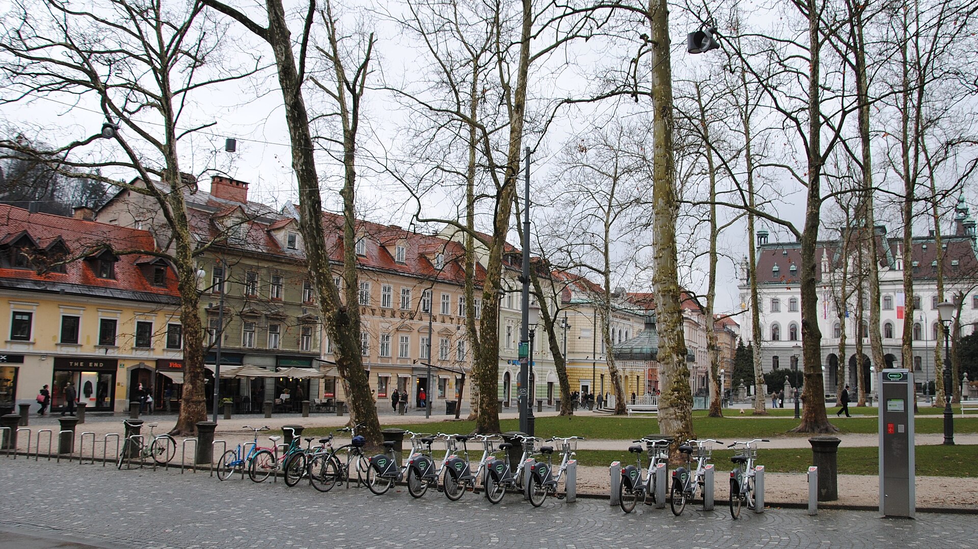 En station med BicikeLJ-hyrcyklar uppställda i den lummiga parken Zvezda i centrala Ljubljana.